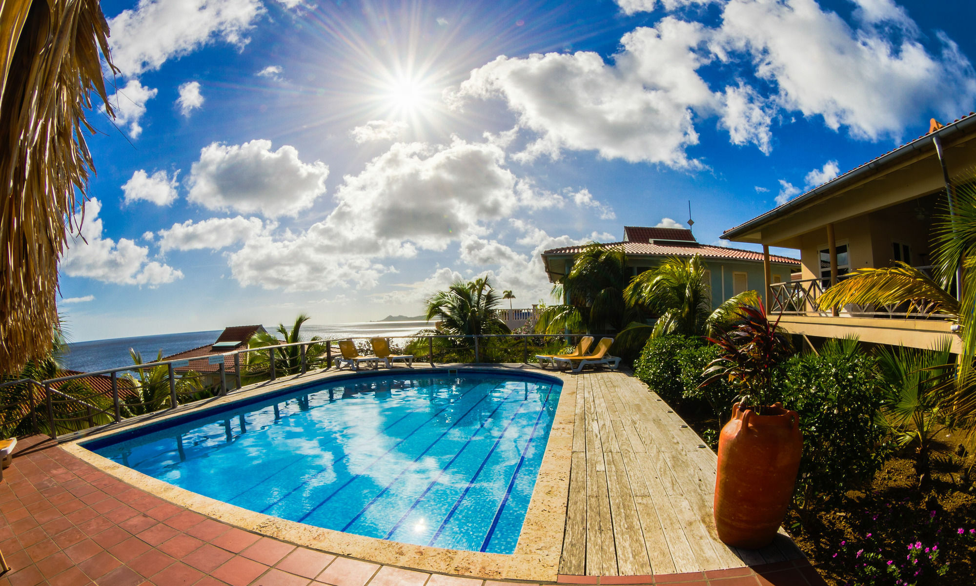 Caribbean Club Bonaire Aparthotel ภายนอก รูปภาพ