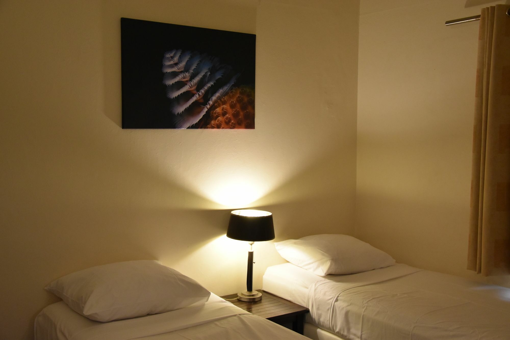 Caribbean Club Bonaire Aparthotel ภายนอก รูปภาพ