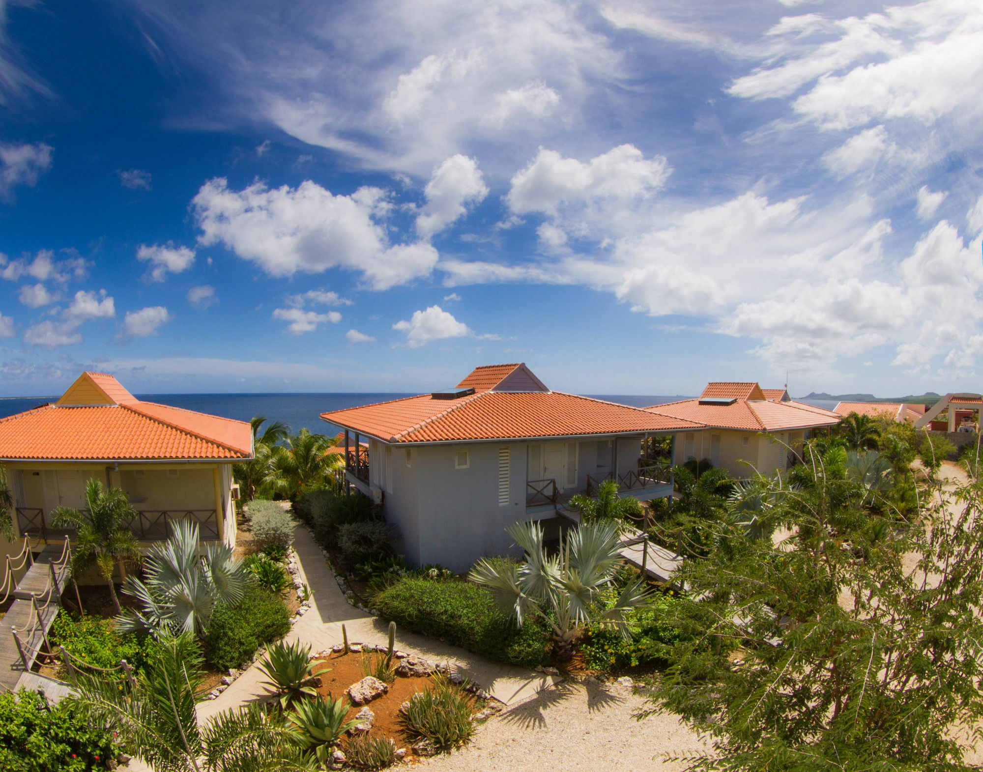 Caribbean Club Bonaire Aparthotel ภายนอก รูปภาพ